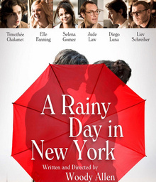 Movies Most Similar to A Rainy Day in New York (2019)