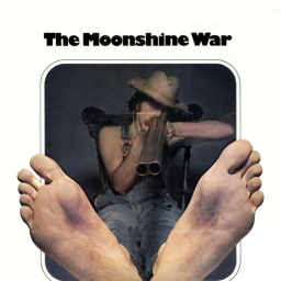 Movies You Would Like to Watch If You Like the Moonshine War (1970)