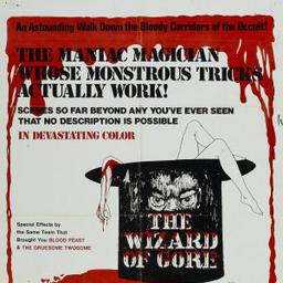 Most Similar Movies to the Wizard of Gore (1970)