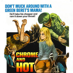 Most Similar Movies to Chrome and Hot Leather (1971)