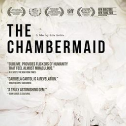 Movies Similar to the Chambermaid (2018)