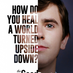 Tv Shows to Watch If You Like the Good Doctor (2017)