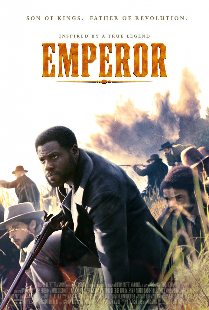 Movies You Should Watch If You Like Emperor (2020)