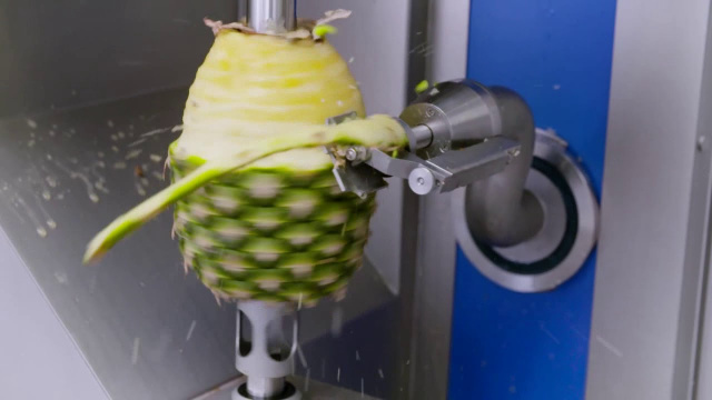Машина для очистки ананасов - Как почистить ананас. Лучшие способы разделки ананасов