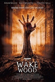 Wake (2009) - Movies to Watch If You Like All About Nina (2018)
