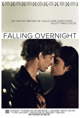 Falling Overnight (2011) - Movies to Watch If You Like 10 Things We Should Do Before We Break Up (2020)