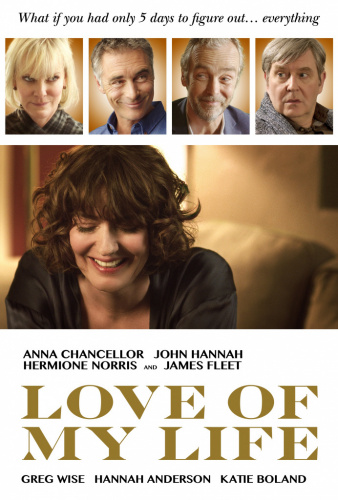 Love of My Life (2017) - Movies You Should Watch If You Like Late Night (2019)