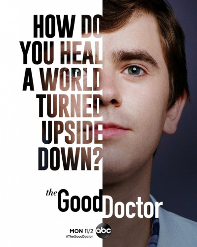 The Good Doctor (2017) - Tv Shows to Watch If You Like New Amsterdam (2018)